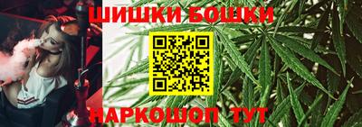 СК Краснодар