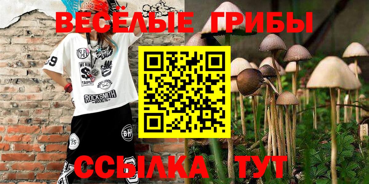 Кирово-Чепецк  Псилоцибиновые грибы ЛСД  где продают наркотики  Галлюциногенные грибы MAGIC MUSHROOMS  Вход с VPN 
